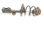 Front shock absorber with coil spring