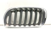 Front bumper upper radiator grill