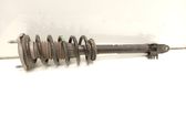 Front shock absorber with coil spring