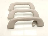 A set of handles for the ceiling