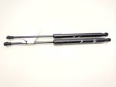Tailgate/trunk strut/damper