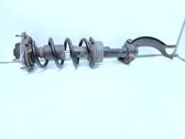 Front shock absorber with coil spring