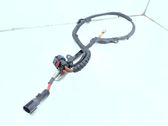 Other wiring loom