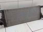 Intercooler radiator