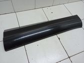 Front door trim (molding)