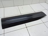 Front door trim (molding)