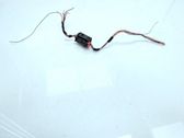Other wiring loom