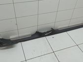 Einstiegsleiste Zierleiste vorne