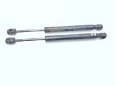 Tailgate/trunk strut/damper