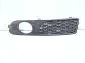 Front fog light trim/grill
