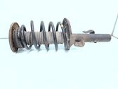 Front shock absorber with coil spring