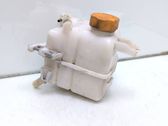 Coolant expansion tank/reservoir