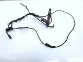 Tailgate/trunk wiring harness