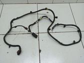 Other wiring loom
