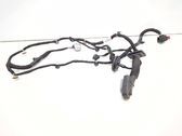 Rear door wiring loom