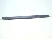 Front door trim (molding)