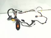 Cableado de puerta delantera
