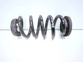Rear coil spring