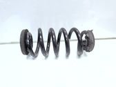 Rear coil spring
