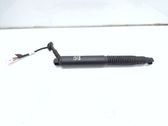 Tailgate/trunk strut/damper