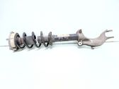 Front shock absorber with coil spring