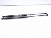 Tailgate/trunk strut/damper