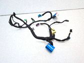 Other wiring loom