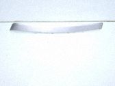 Moulure/baguette de porte avant