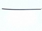 Front door glass trim molding
