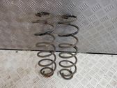 Rear coil spring