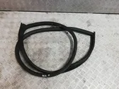 Front door rubber seal