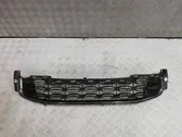 Front bumper lower grill