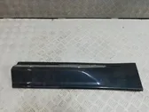 Rear door trim (molding)