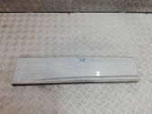 Rear door trim (molding)