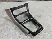 Dashboard trim