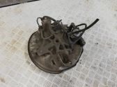 Rear wheel hub