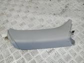 (C) pillar trim