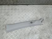 (A) pillar trim