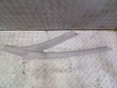 (A) pillar trim