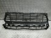 Front bumper upper radiator grill