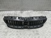 Front bumper upper radiator grill