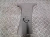 (B) pillar trim (top)