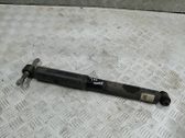 Rear shock absorber/damper