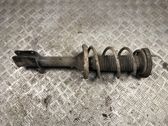 Rear shock absorber with coil spring