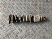 Rear shock absorber with coil spring