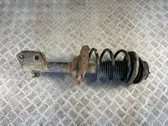 Front shock absorber with coil spring