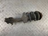 Front shock absorber with coil spring
