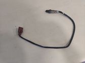 Sonde lambda