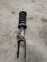 Front shock absorber with coil spring