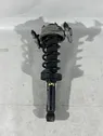 Rear shock absorber with coil spring